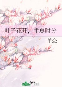 叶子花开,半夏时分