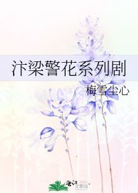 汴梁警花系列剧