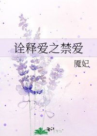 诠释爱之禁爱