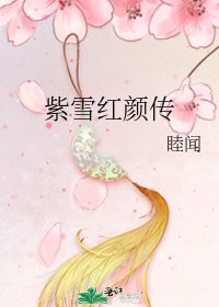 紫雪红颜传