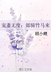 宠妻无度:郎骑竹马来