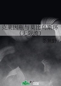 《克萊因瓶與莫比烏斯環(無限流)》