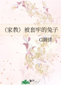 (家教)被套牢的兔子