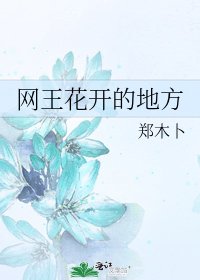 网王花开的地方