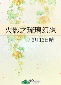 火影之琉璃幻想
