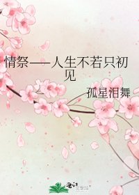 情祭——人生不若只初见