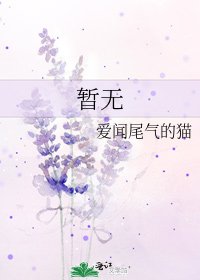 暫無