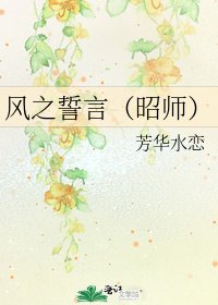 《風之誓言(昭師)》