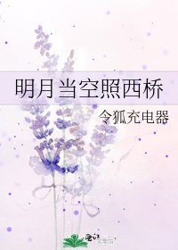 明月當空照西橋