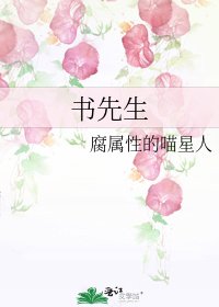 书先生