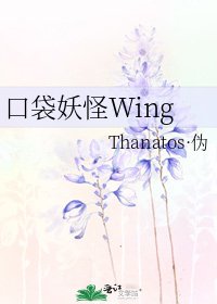 口袋妖怪Wing