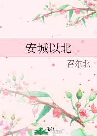 《安城以北》