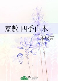 家教 四季白木
