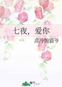 七夜，愛你