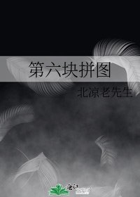 第六塊拼圖