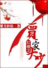 （紅樓同人）紅樓之賈家大少